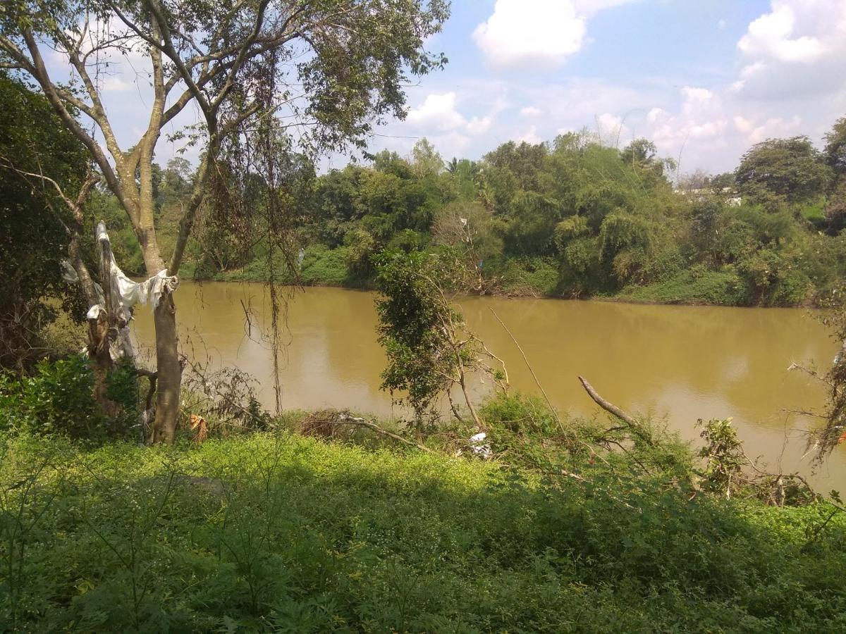 Dreams River View Homestay Coorg Kushālnagar Extérieur photo